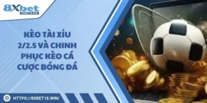 Kèo tài xỉu 2/2.5