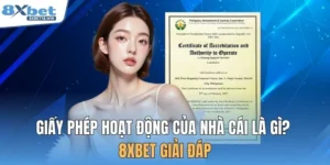 Giấy Phép Hoạt Động Của Nhà Cái Là Gì