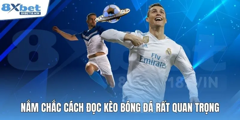 Nắm chắc cách đọc kèo bóng đá rất quan trọng